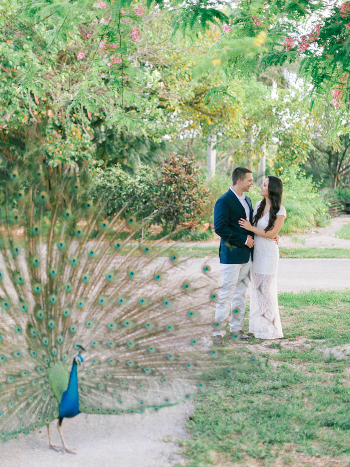 Crandon Gardens Engagement