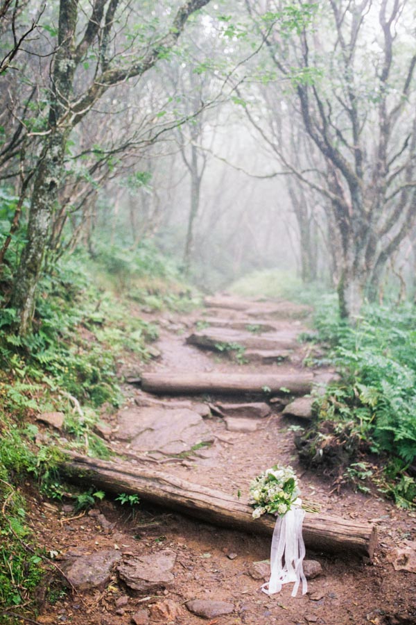 Blue Ridge wedding inspiration Contax 645 Fuji 400H