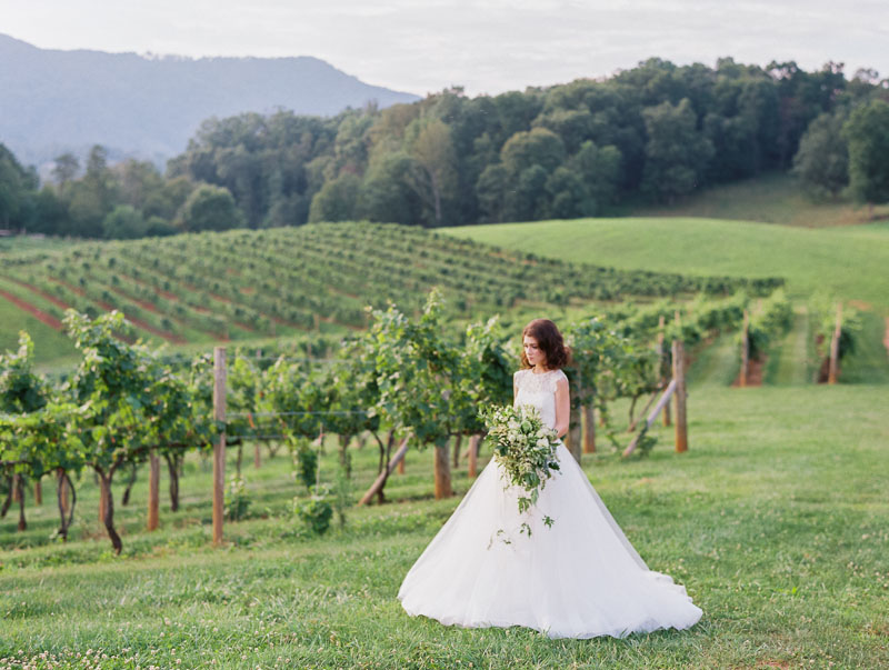 Vineyard Wedding Inspiration Contax 645 Fuji 400H