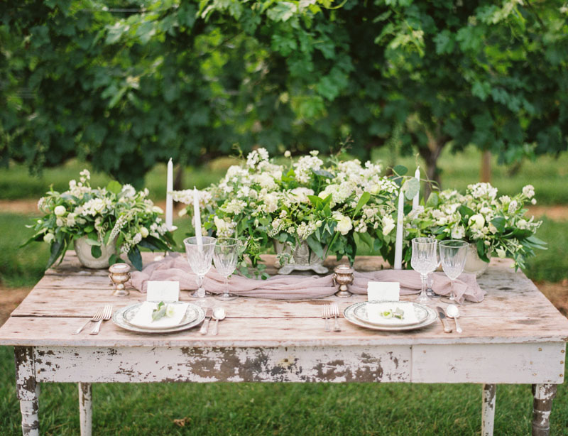 Vineyard Wedding Inspiration Contax 645 Fuji 400H