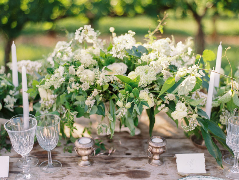 Vineyard Wedding Inspiration Contax 645 Fuji 400H