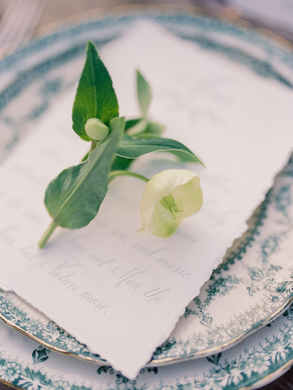 Vineyard Wedding Inspiration Contax 645 Fuji 400H