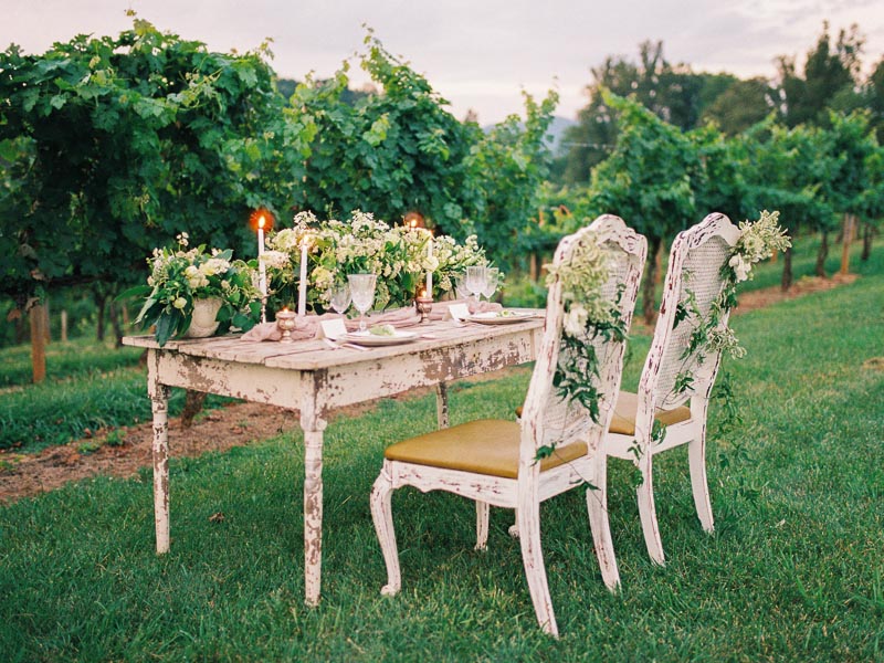 Blue Ridge wedding inspiration Contax 645 Fuji 400H