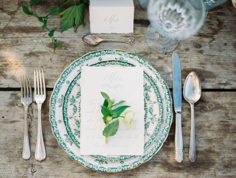 Asheville wedding photographer Contax 645 Fuji 400H