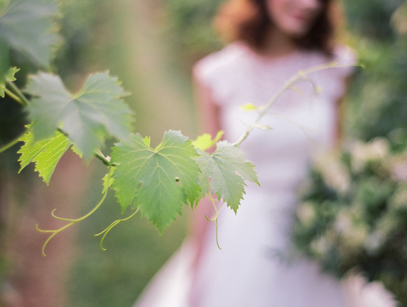 Vineyard Wedding Inspiration