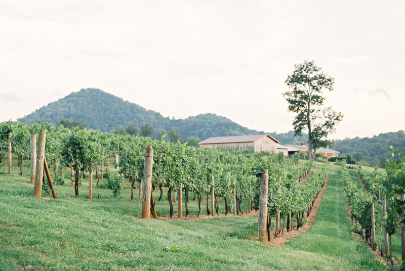 Vineyard Wedding Inspiration