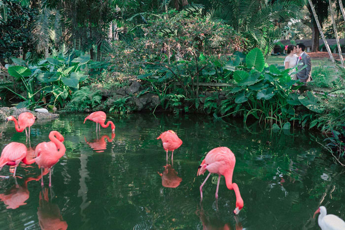 Flamingo Gardens Wedding