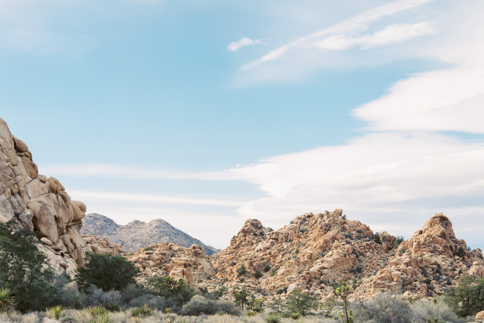 Joshua Tree Engagement Contax 645 Fuji 400H