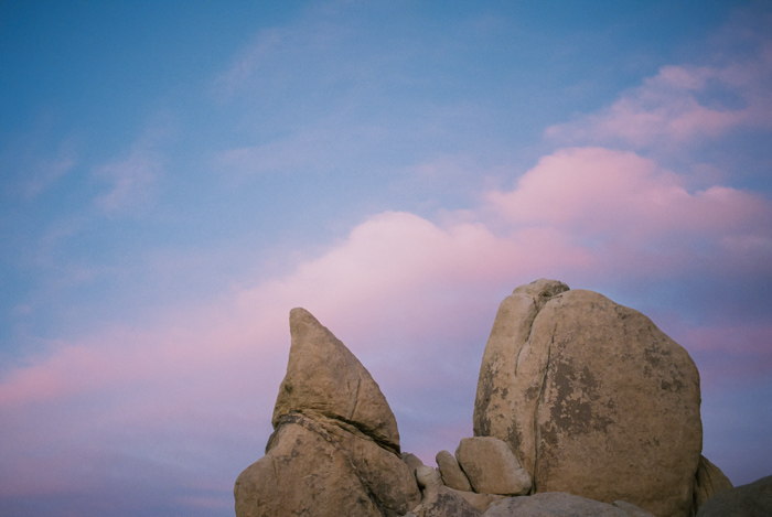 Joshua Tree Engagement Contax 645 Fuji 400H