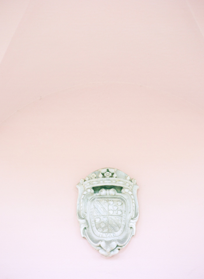 Los Angeles Film Wedding Photographer 