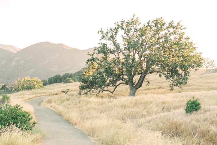 Santa Barbara Wedding Photographer