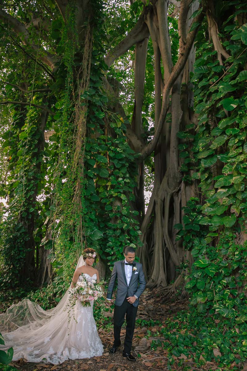 garden sunset wedding