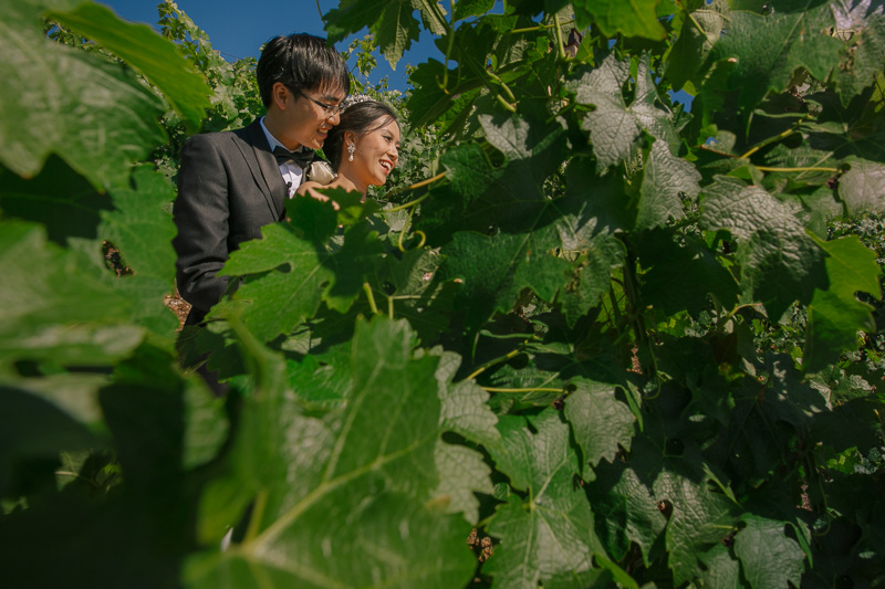  Malibu Rocky Oaks Vineyards Wedding