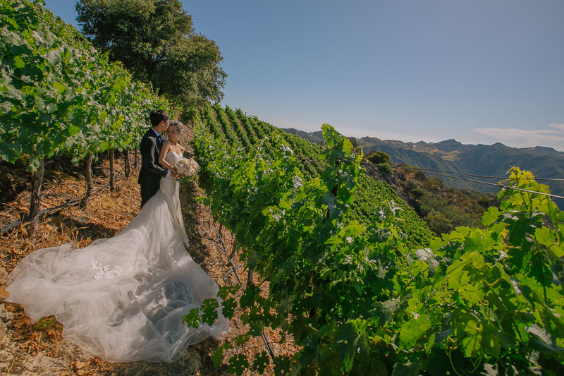  Malibu Rocky Oaks Vineyards Wedding