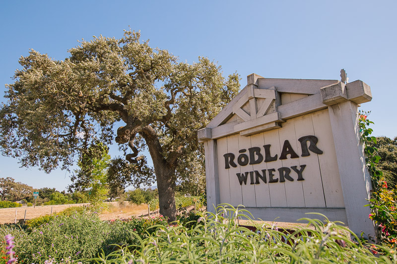 Roblar winery wedding