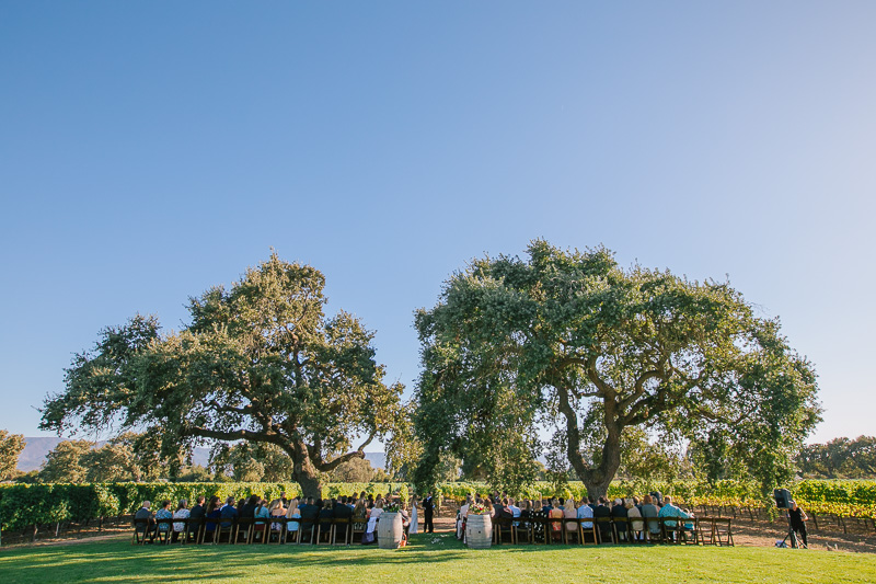 Roblar winery wedding