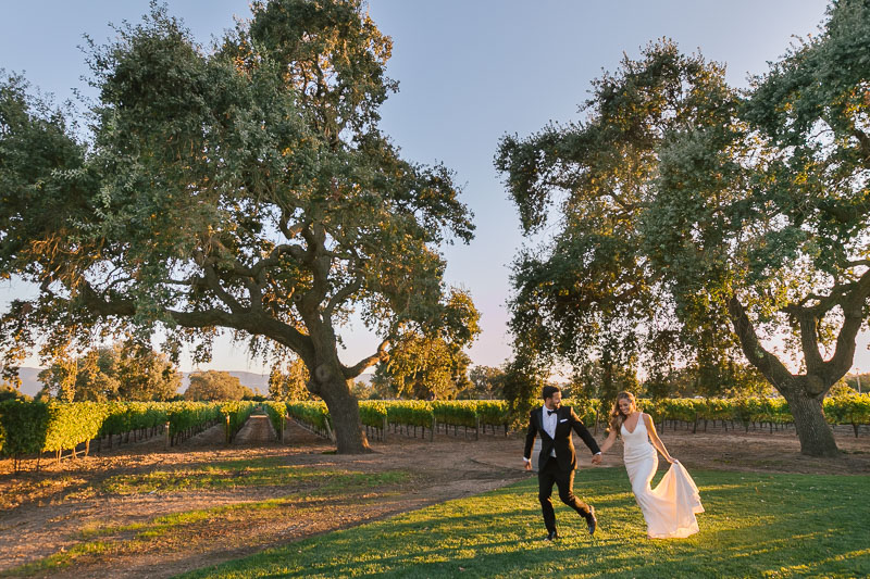 Roblar winery wedding