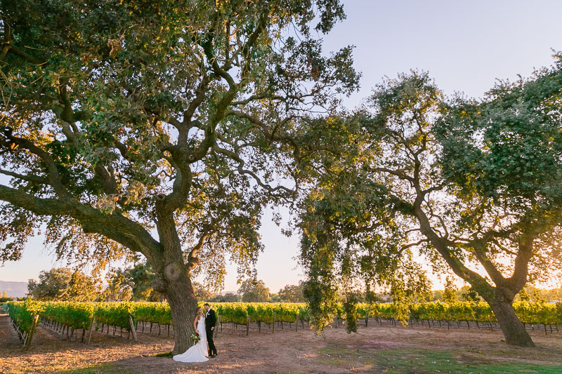 santa ynez vineyard wedding