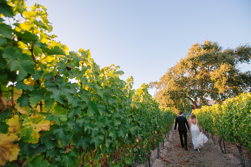 santa ynez vineyard wedding