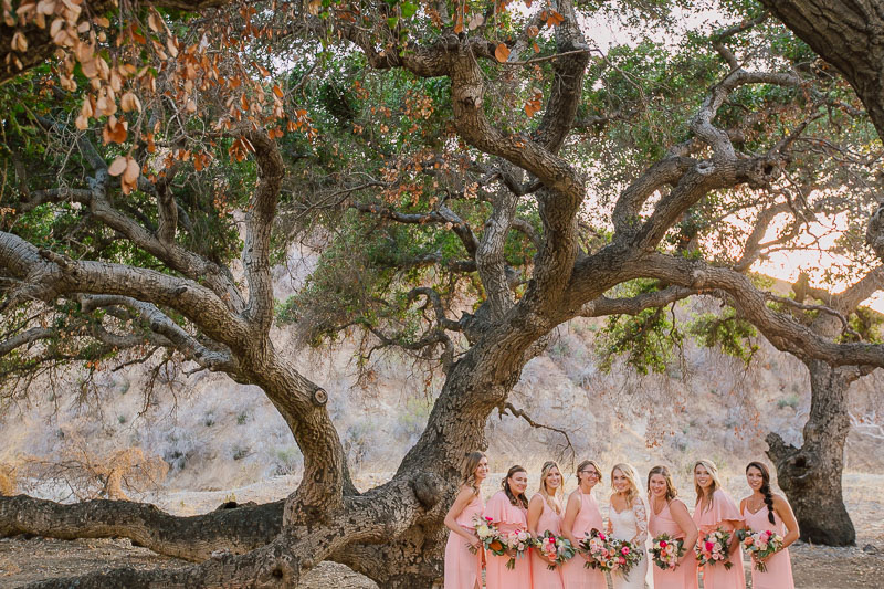 Santa Clarita backyard wedding