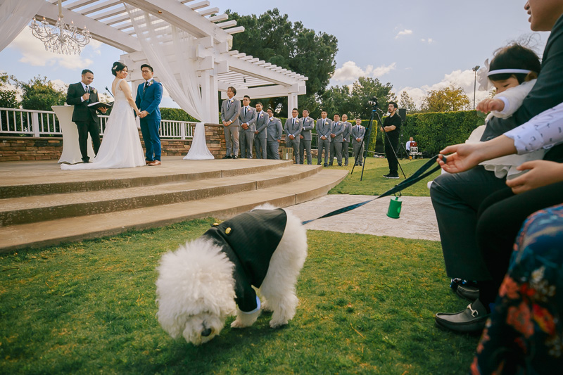 Mountain Meadows Golf Course Wedding