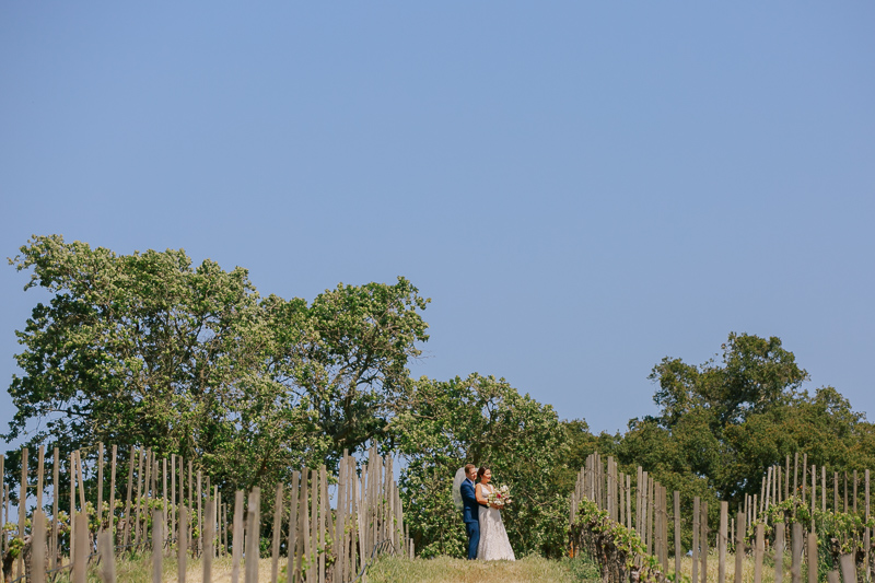 Buttonwood Winery Wedding