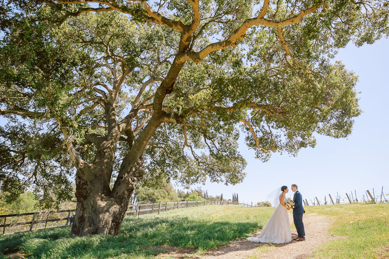 Buttonwood Winery Wedding