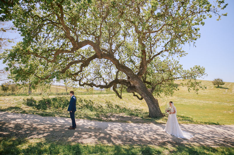 Buttonwood Winery Wedding