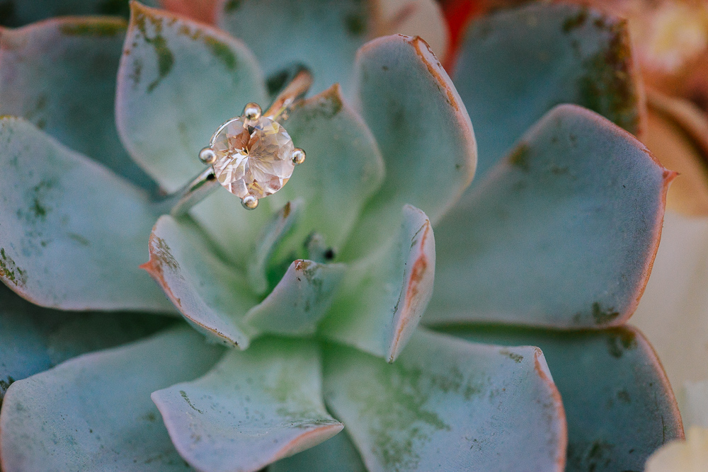 Beautiful Maravilla Gardens Wedding