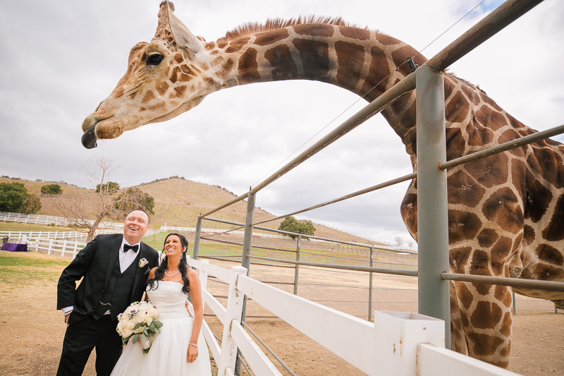 FOX MASTERCHEF WINNER WEDDING