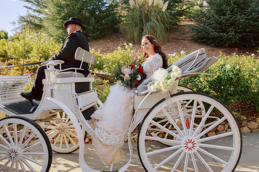 Serendipity Garden wedding