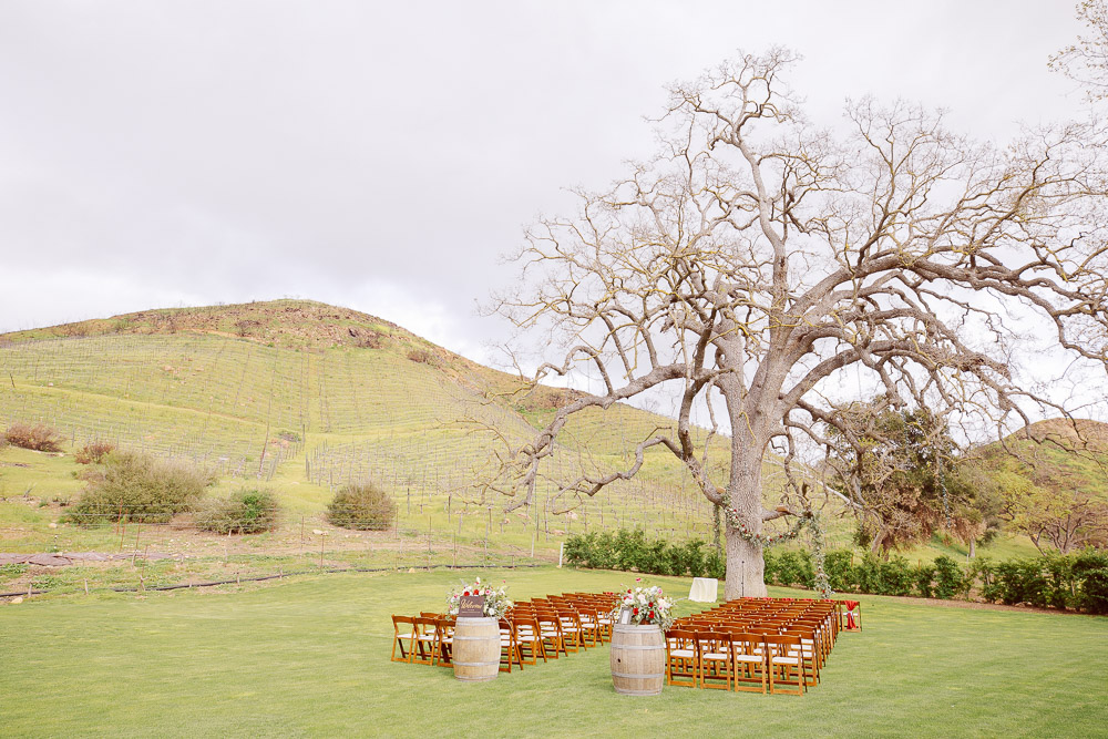 Truinfo Creek Vineyards wedding