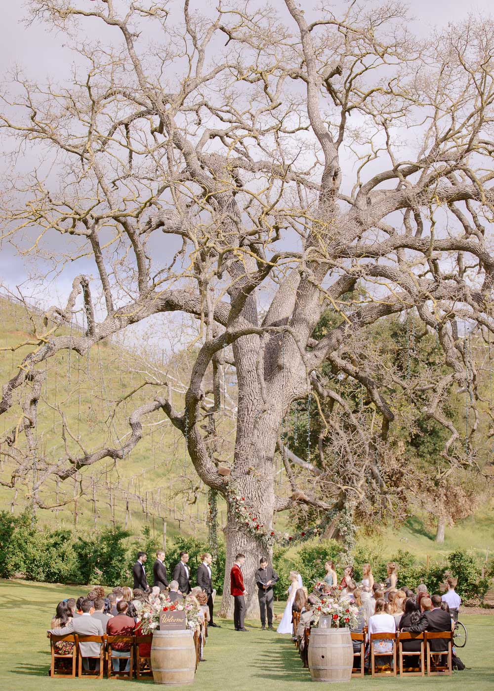 Truinfo Creek Vineyards wedding