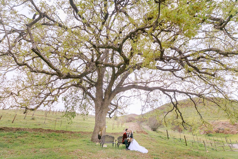 Truinfo Creek Vineyards wedding