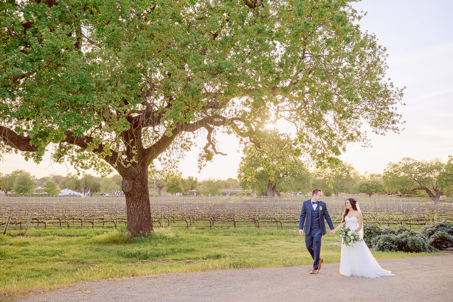 Santa Ynez Winery Wedding