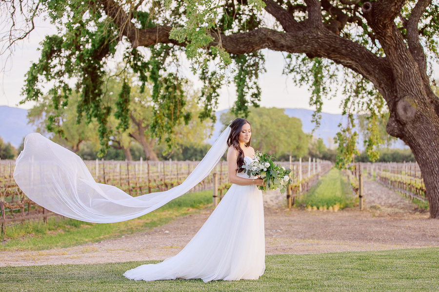 Santa Ynez Winery Wedding